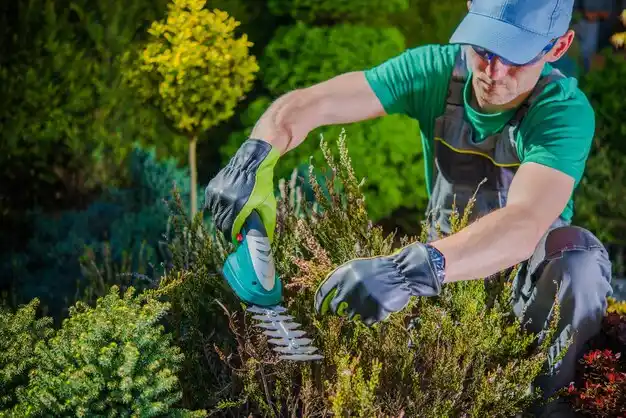 landscaping services Carlisle